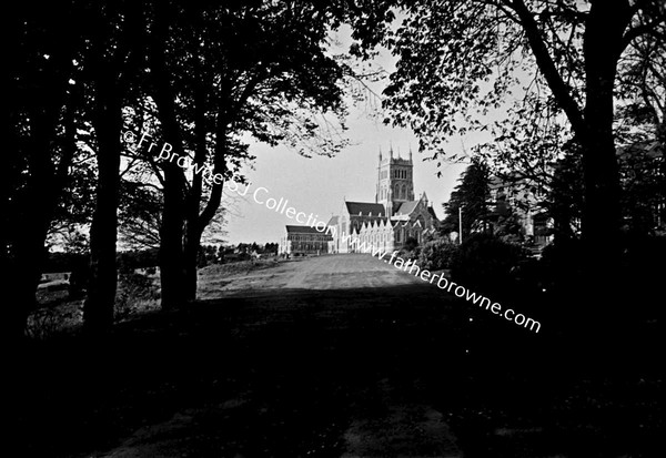 MT MELLARY  ABBEY  APPROACHING UNDER TREES